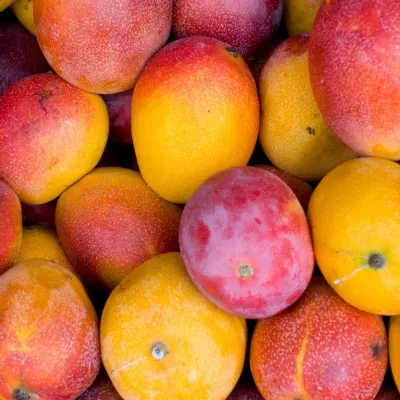 Apple  Mangoes